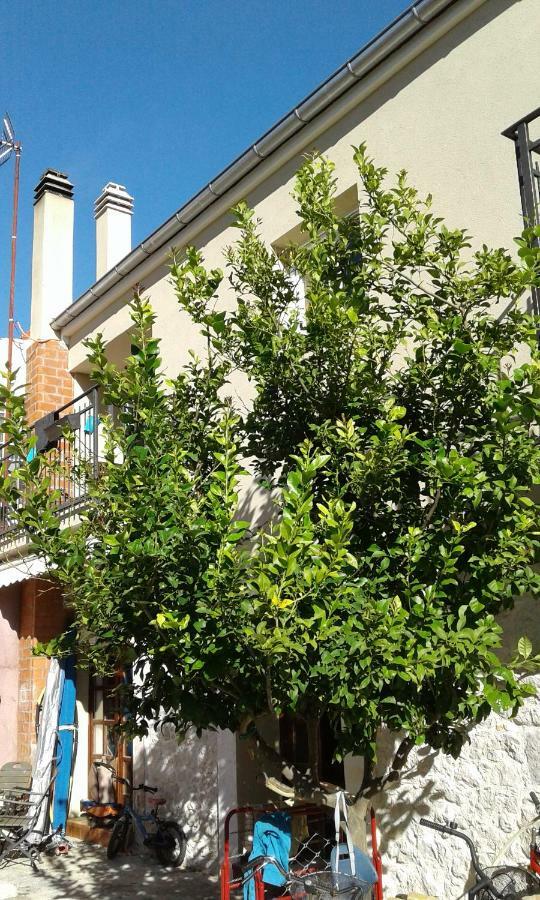 Wolverine Residence Zadar Ngoại thất bức ảnh